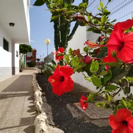 아파트 Casa Azul *